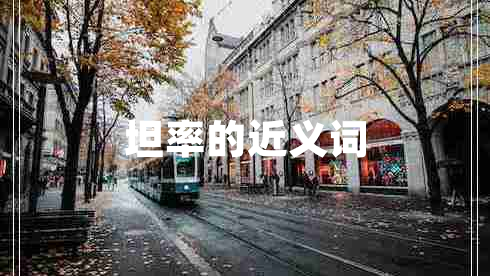 坦率的近義詞
