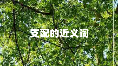 支配的近義詞