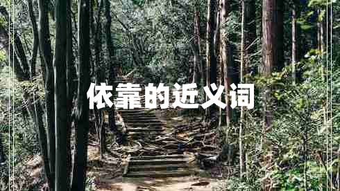 依靠的近義詞