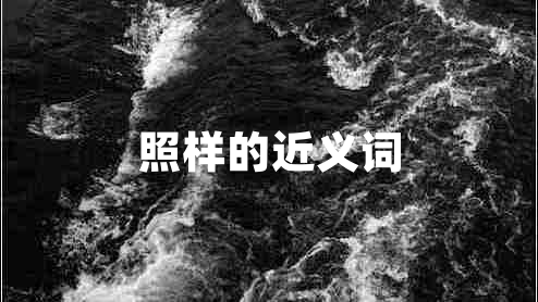照樣的近義詞