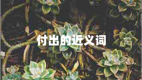 付出的近義詞