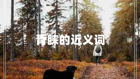 青睞的近義詞