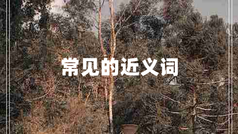 常見(jiàn)的近義詞