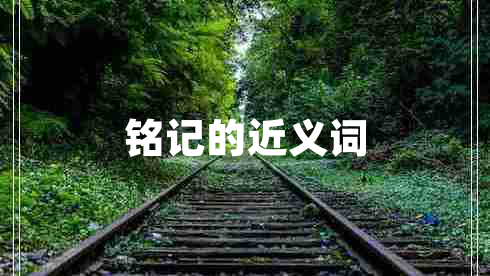 銘記的近義詞