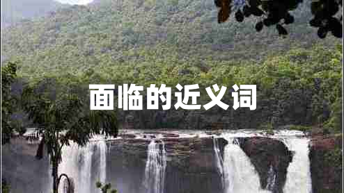 面臨的近義詞