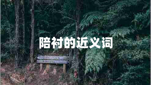 陪襯的近義詞