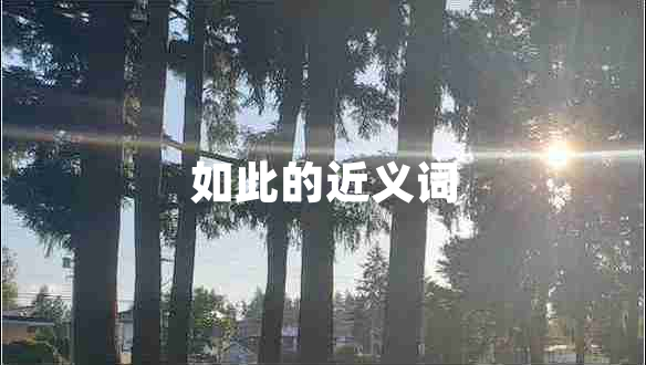 如此的近義詞