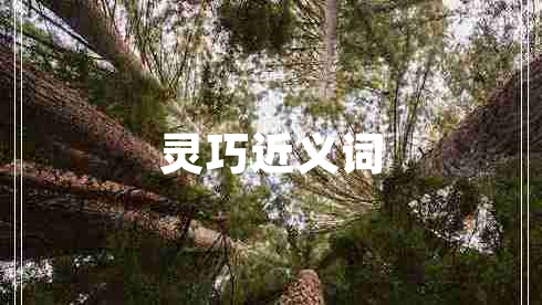 靈巧近義詞