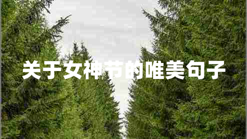 關于女神節(jié)的唯美句子