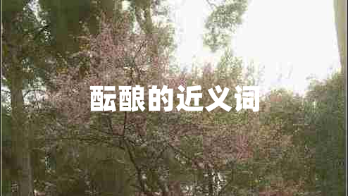 醞釀的近義詞