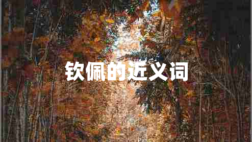 欽佩的近義詞