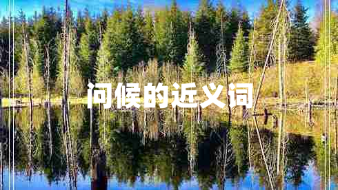 問候的近義詞