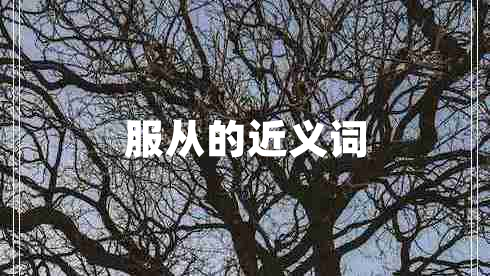服從的近義詞