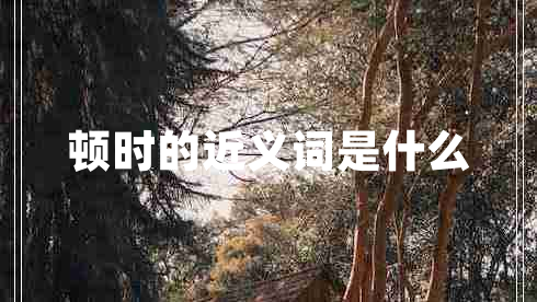 頓時的近義詞是什么