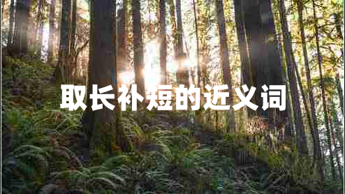 取長補(bǔ)短的近義詞
