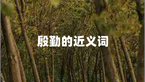 殷勤的近義詞