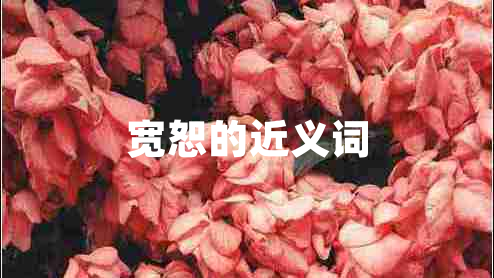寬恕的近義詞