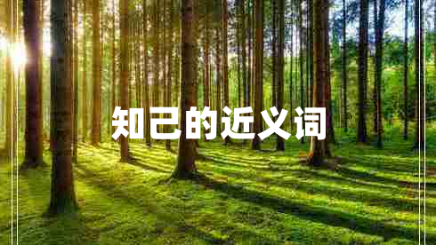 知己的近義詞