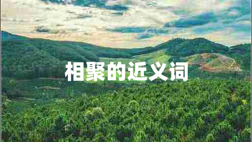 相聚的近義詞