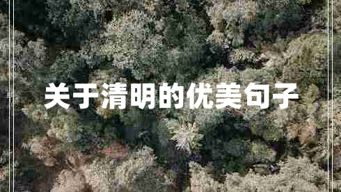 關于清明的優(yōu)美句子