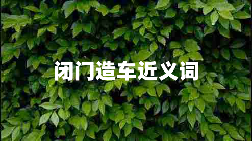 閉門(mén)造車近義詞