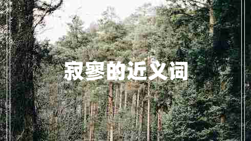 寂寥的近義詞