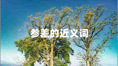 參差的近義詞