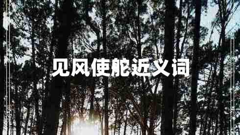 見(jiàn)風(fēng)使舵近義詞