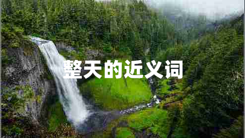 整天的近義詞