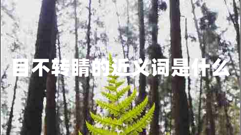 目不轉睛的近義詞是什么