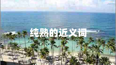 純熟的近義詞