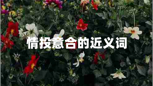 情投意合的近義詞