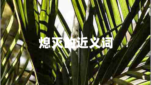 熄滅的近義詞
