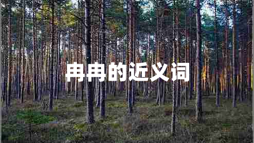 冉冉的近義詞