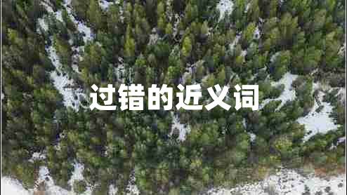過錯(cuò)的近義詞