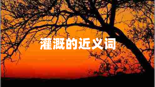 灌溉的近義詞