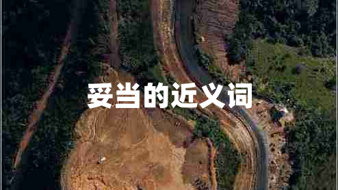 妥當?shù)慕x詞