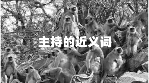 主持的近義詞