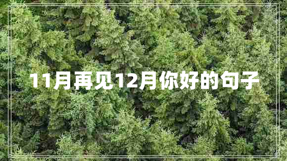 11月再見(jiàn)12月你好的句子