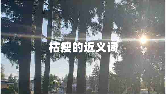 枯瘦的近義詞