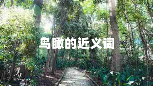 鳥瞰的近義詞