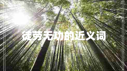 徒勞無(wú)功的近義詞