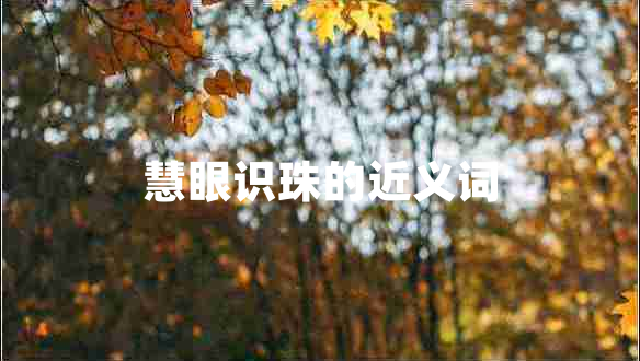 慧眼識(shí)珠的近義詞