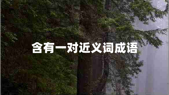 含有一對(duì)近義詞成語(yǔ)