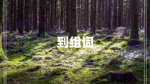 到組詞