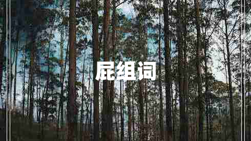 屁組詞
