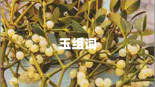 玉組詞