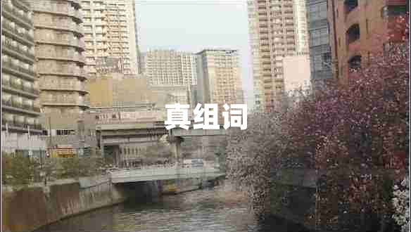 真組詞