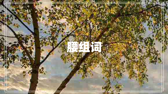 腰組詞