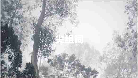 尖組詞